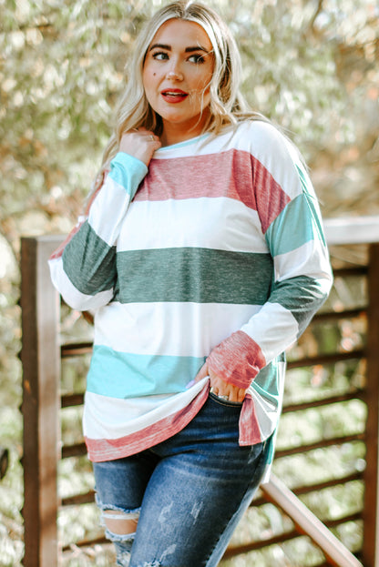 Groene Plus Size Colorblock Pullover Top