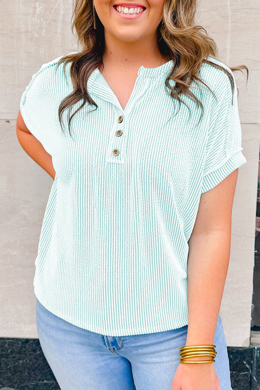 Iceland Blue Plus Size Textured Henley T Shirt